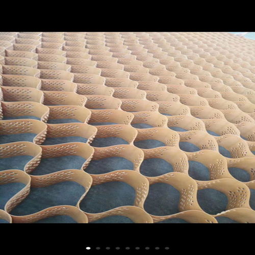 鋼塑土工格柵錫林郭勒 包郵